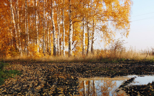 880318 (a): :2560x1600